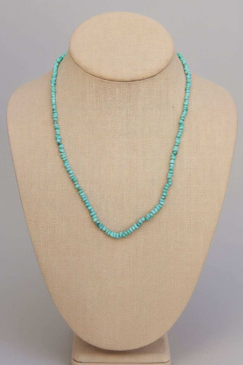 Jig Is Up Turquoise Necklace