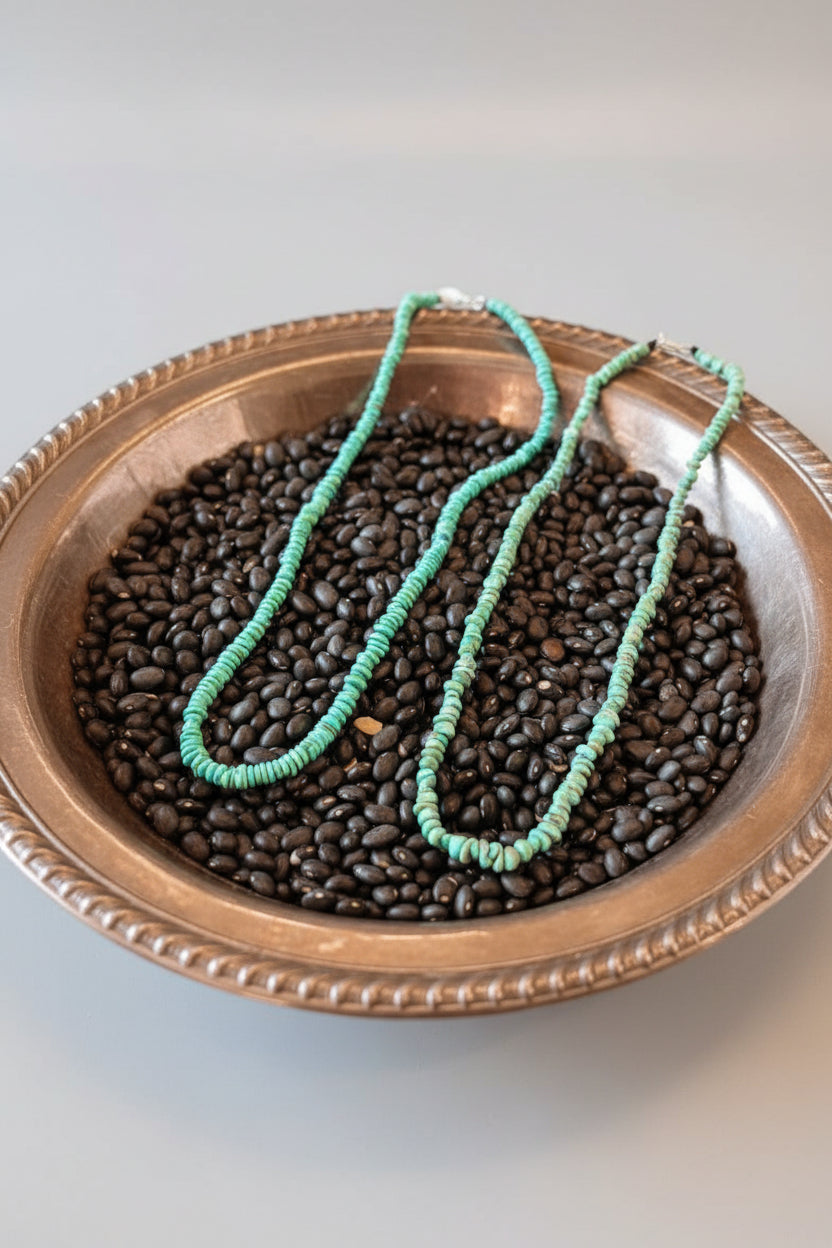 Jig Is Up Turquoise Necklace