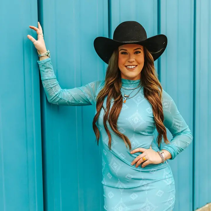 Jade Aztec Mesh Long Sleeve Lined Dress