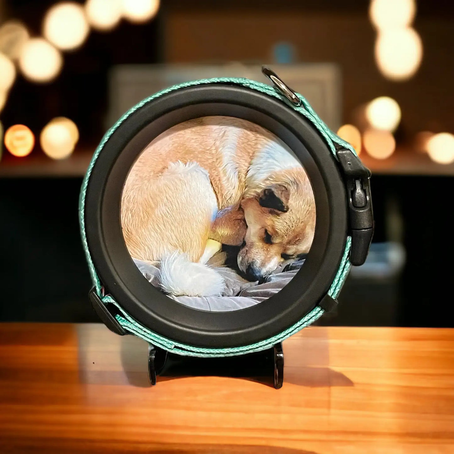 Medium Dog Collar Frame | "The Beagle" Resin
