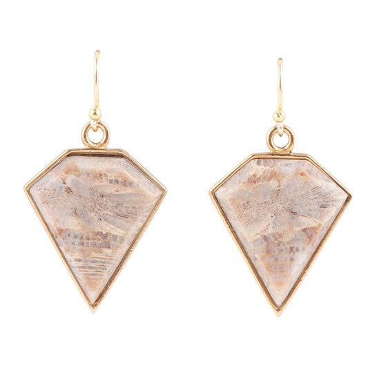 Lafayette Fossilized Coral Earrings