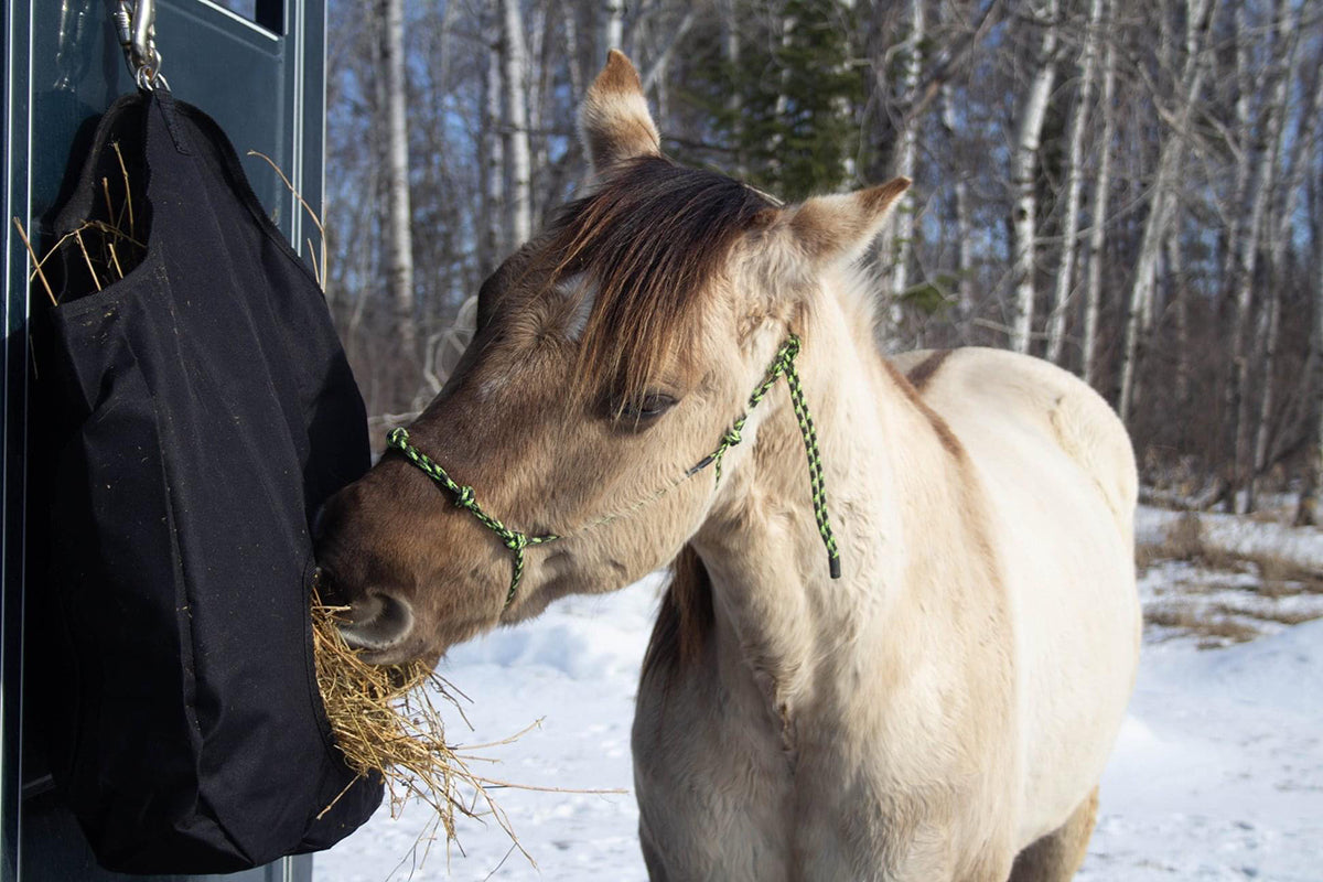AJ Tack Hay Bag