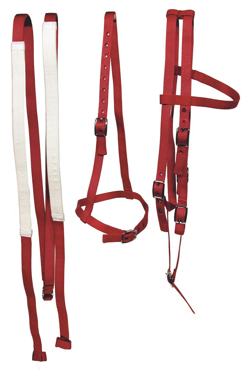 RACE BRIDLE SET (Bridle, Caveson & Reins) - BLUE