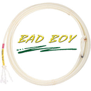 BAD BOY HEAD #4 MED HARD 36'