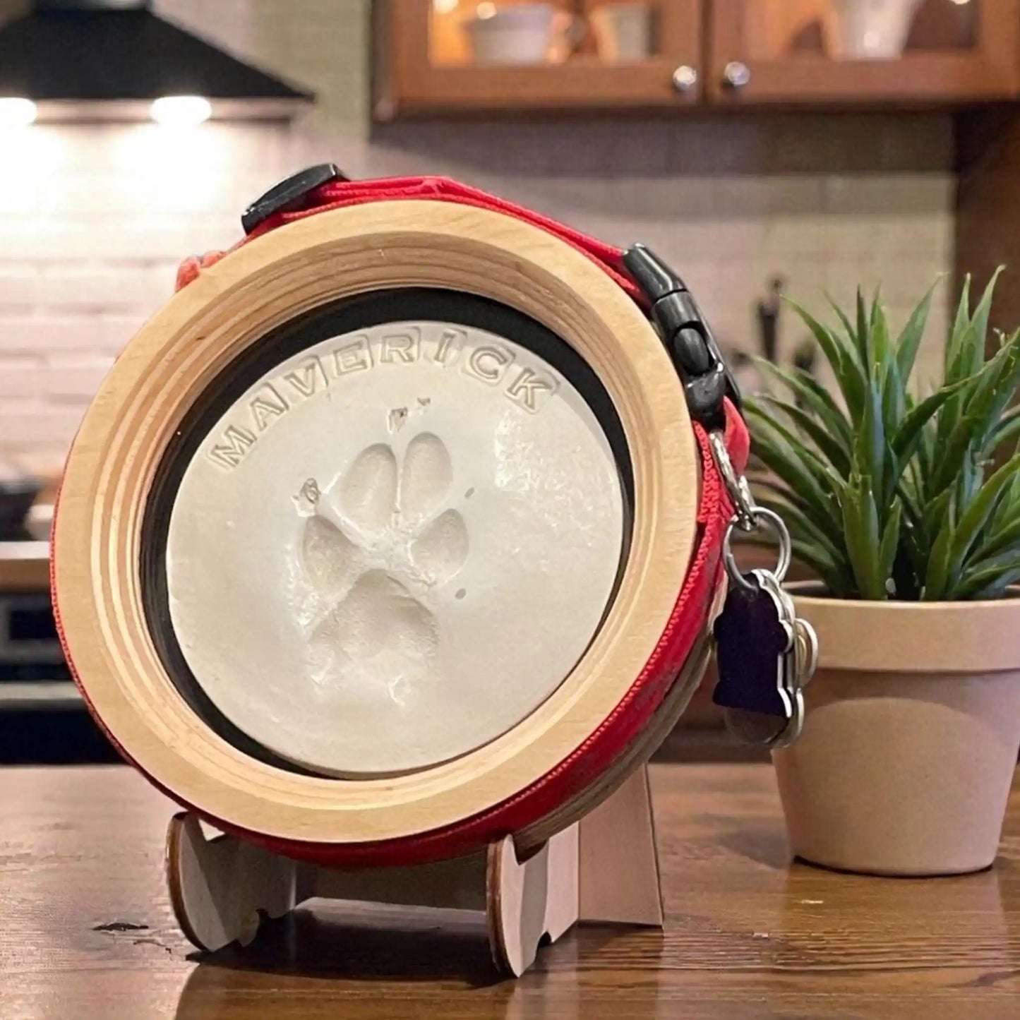 Paw Print & Collar Memorial Frame