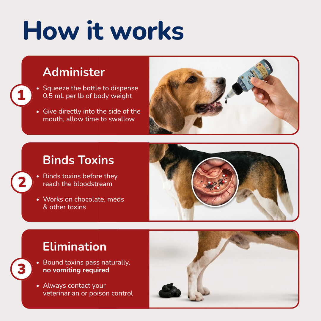 Pet Vet Activated Charcoal Gel for Dogs & Cats (60 mL) – Veterinary-Formulated, Natural Beef Flavor, Fast Toxin Adsorption for Poisoning, Stomach Upset, Diarrhea & Gas Relief – Made in USA