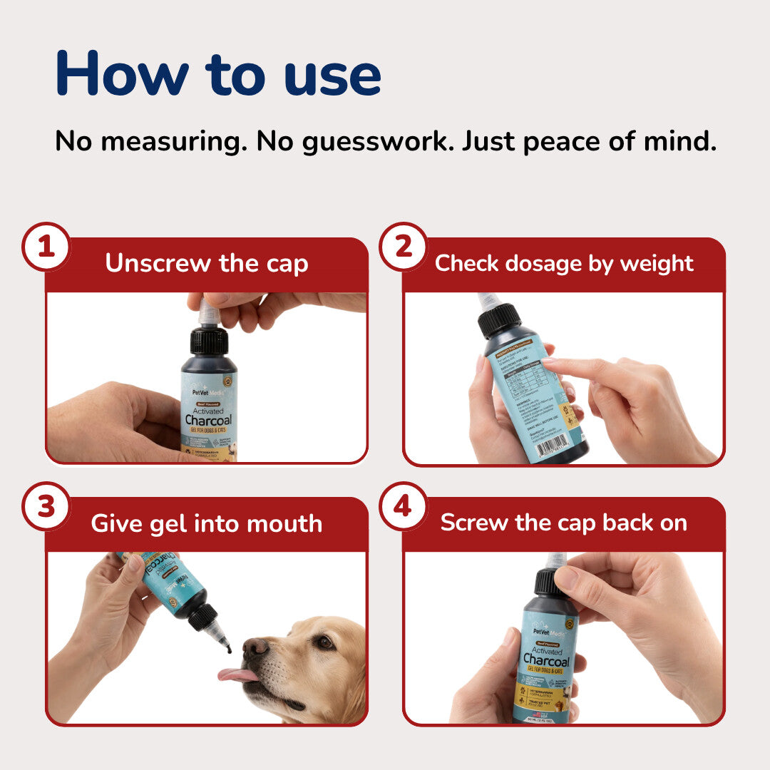 Pet Vet Activated Charcoal Gel for Dogs & Cats (60 mL) – Veterinary-Formulated, Natural Beef Flavor, Fast Toxin Adsorption for Poisoning, Stomach Upset, Diarrhea & Gas Relief – Made in USA
