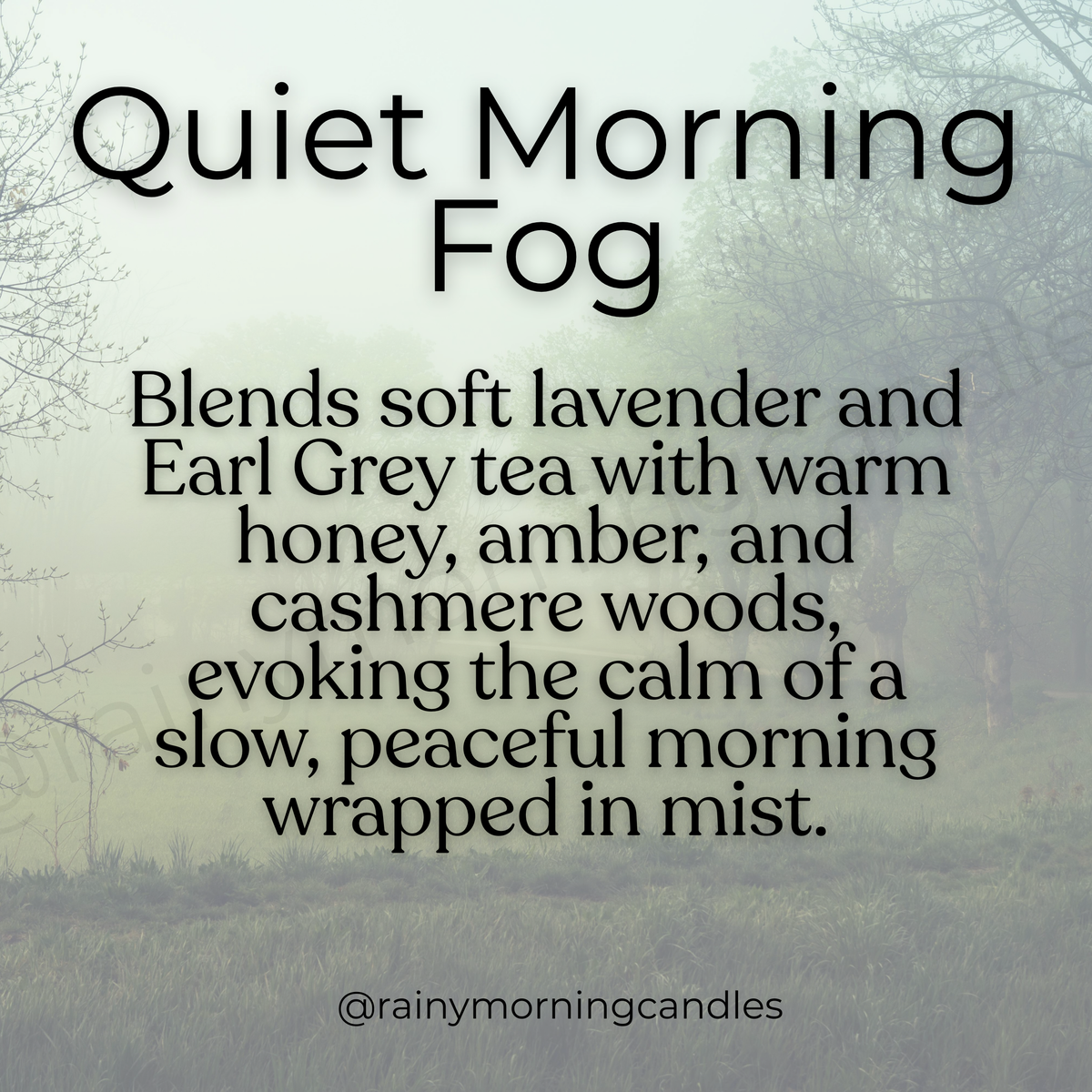 Quiet Morning Fog | Honey Lavender Tea | Wax Melts