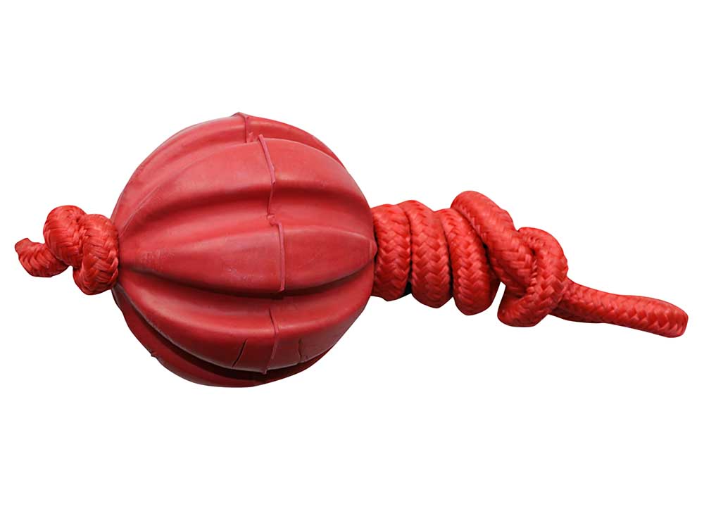 Serrated Ball with Rope Dog Toy