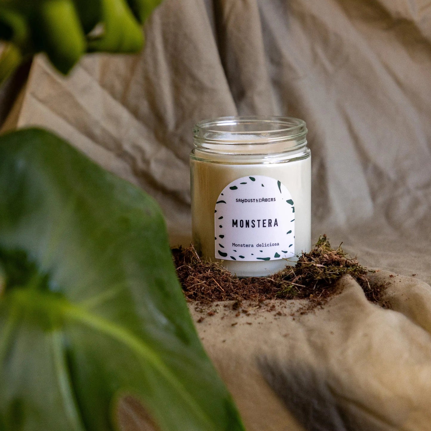 Monstera - Signature Candle