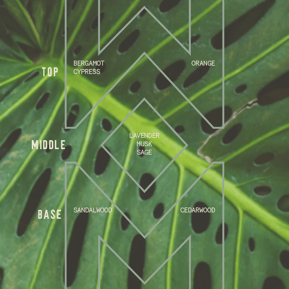 Monstera - Signature Candle