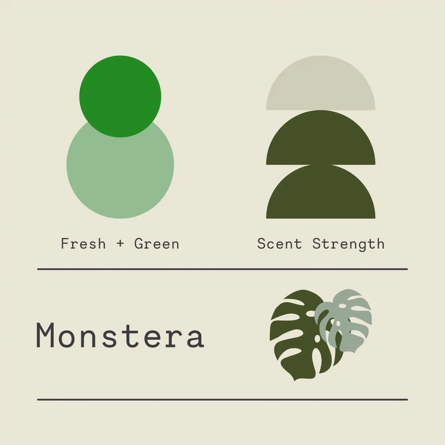 Monstera - Signature Candle