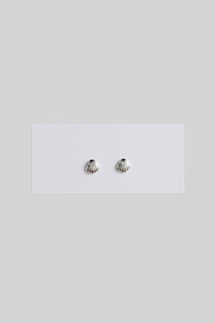 Sea Shell Stud Earrings