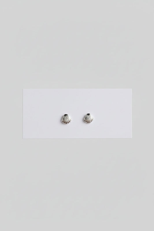 Sea Shell Stud Earrings