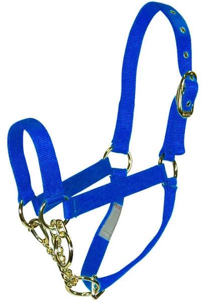 CONTROL CALF HALTER W/CHAIN - BLUE