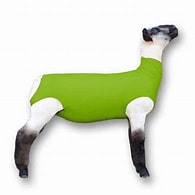 Neon Green- Sheep sox spandex MD