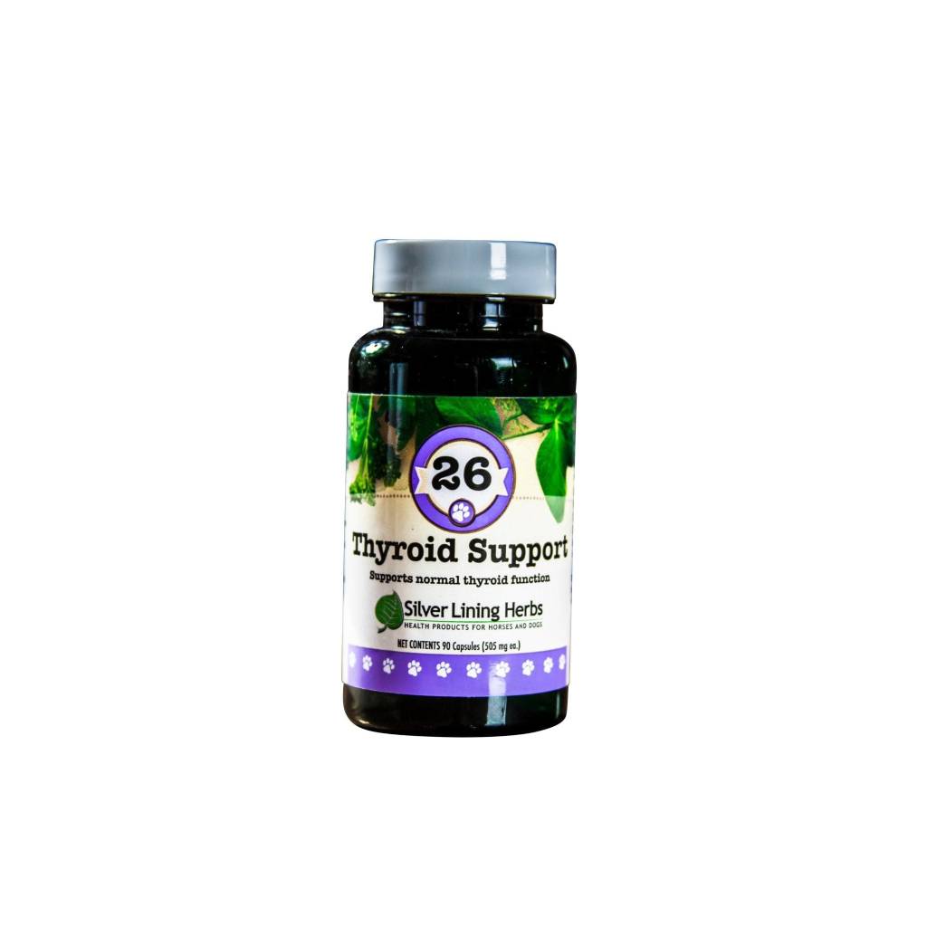 Thyroid Support for Canines
