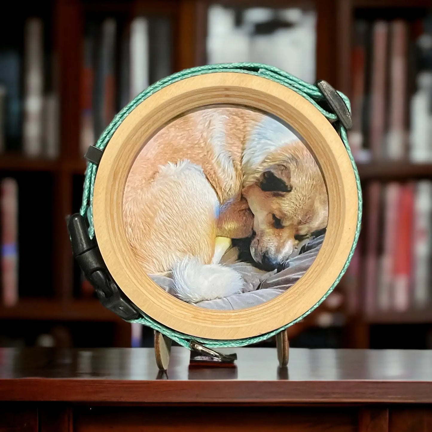 Medium Dog Collar Frame and Stand Bundle | " The Beagle" Wood