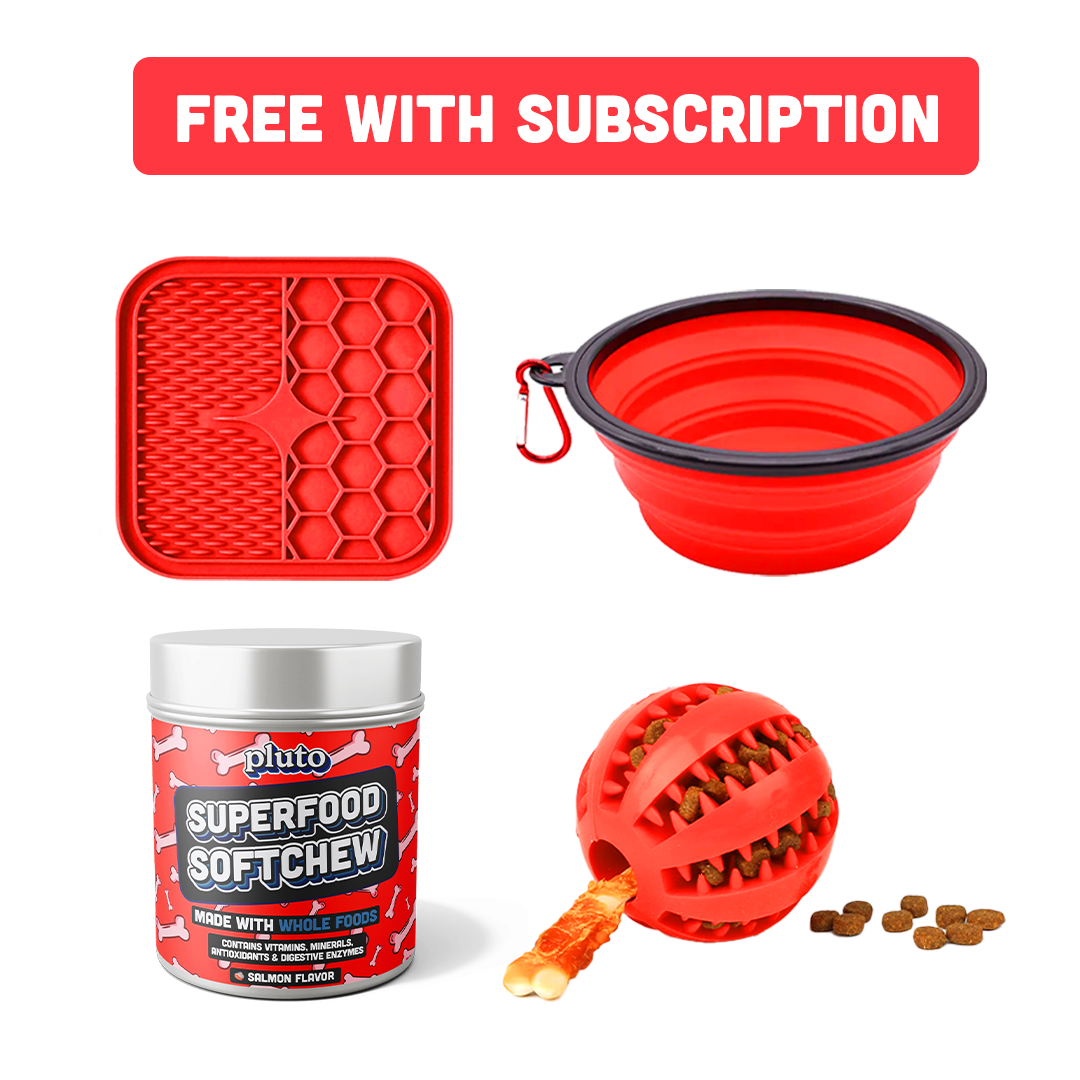 Superfood Softchew