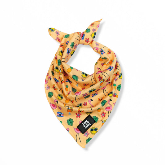 Club Pupicana Bandana