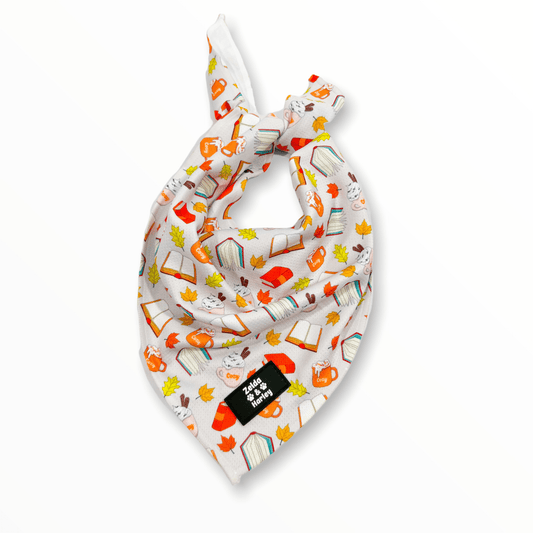 Pawtumn Paws Bandana