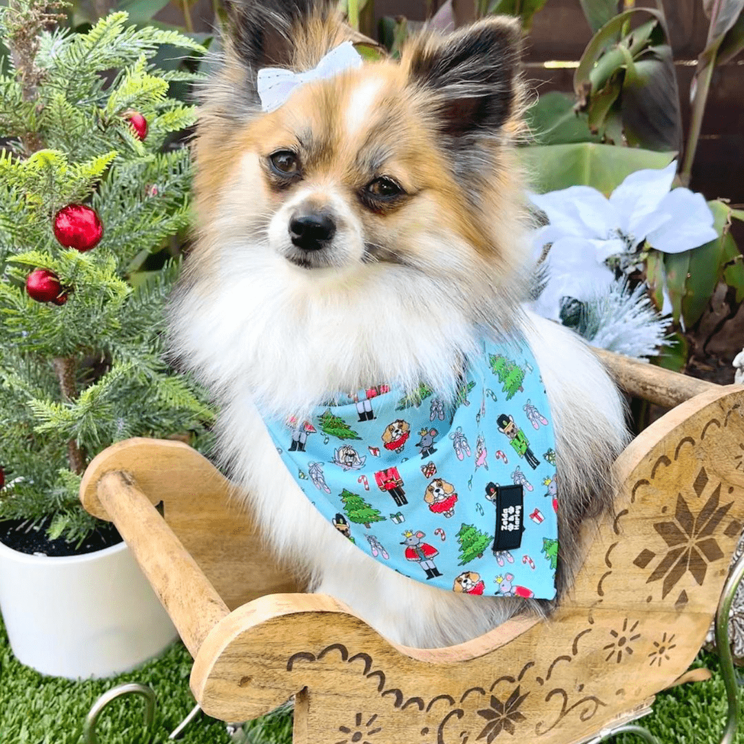 The Muttcracker Bandana