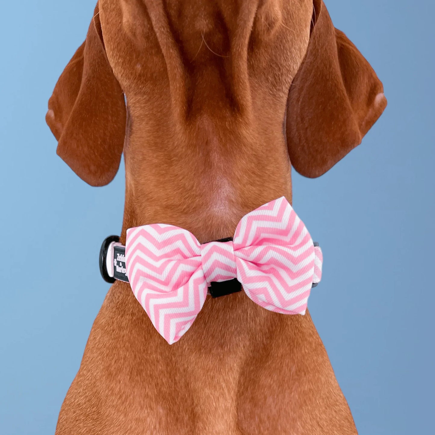 Zig Zag Wag Dog Collar & Free Bow Tie - Pastel Pink
