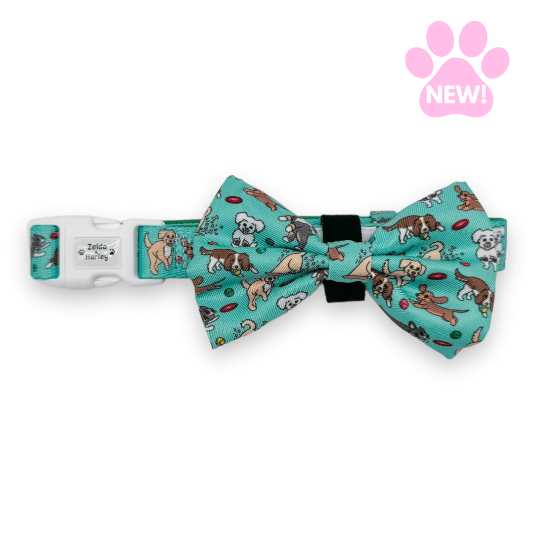 Zoomies 2.0 Dog Collar & Free Bow Tie