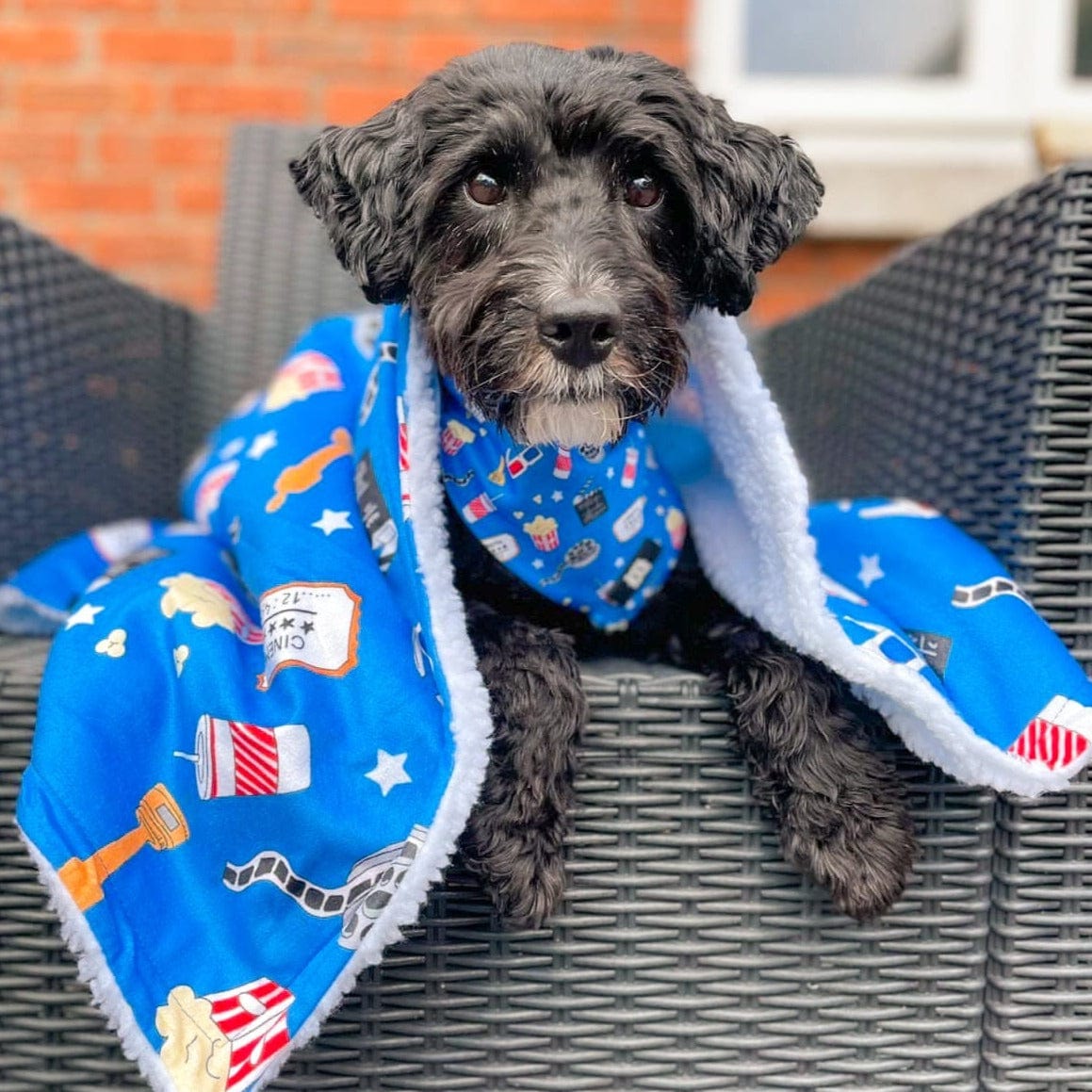Howl-lywood Dog Blanket