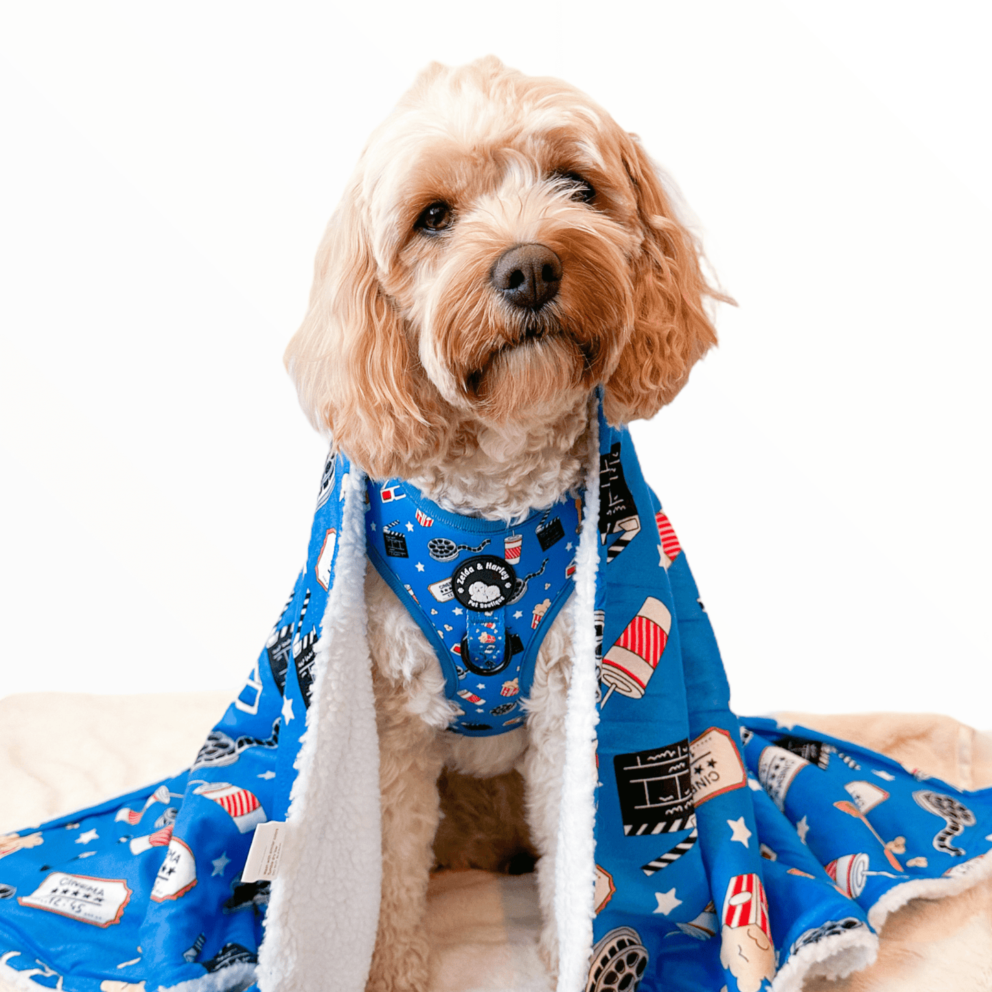 Howl-lywood Dog Blanket