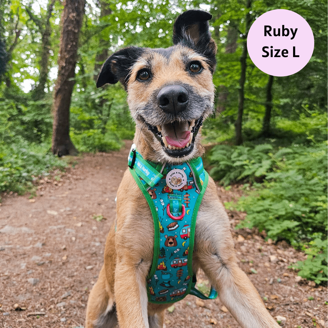 Bark Ranger - Adventure No Pull Harness