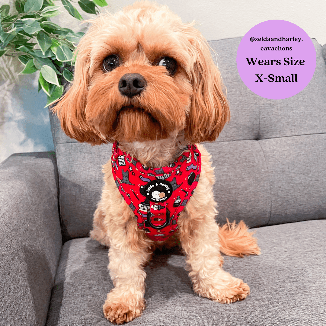 Hairy Pawter - No Pull Adjustable Dog Harness
