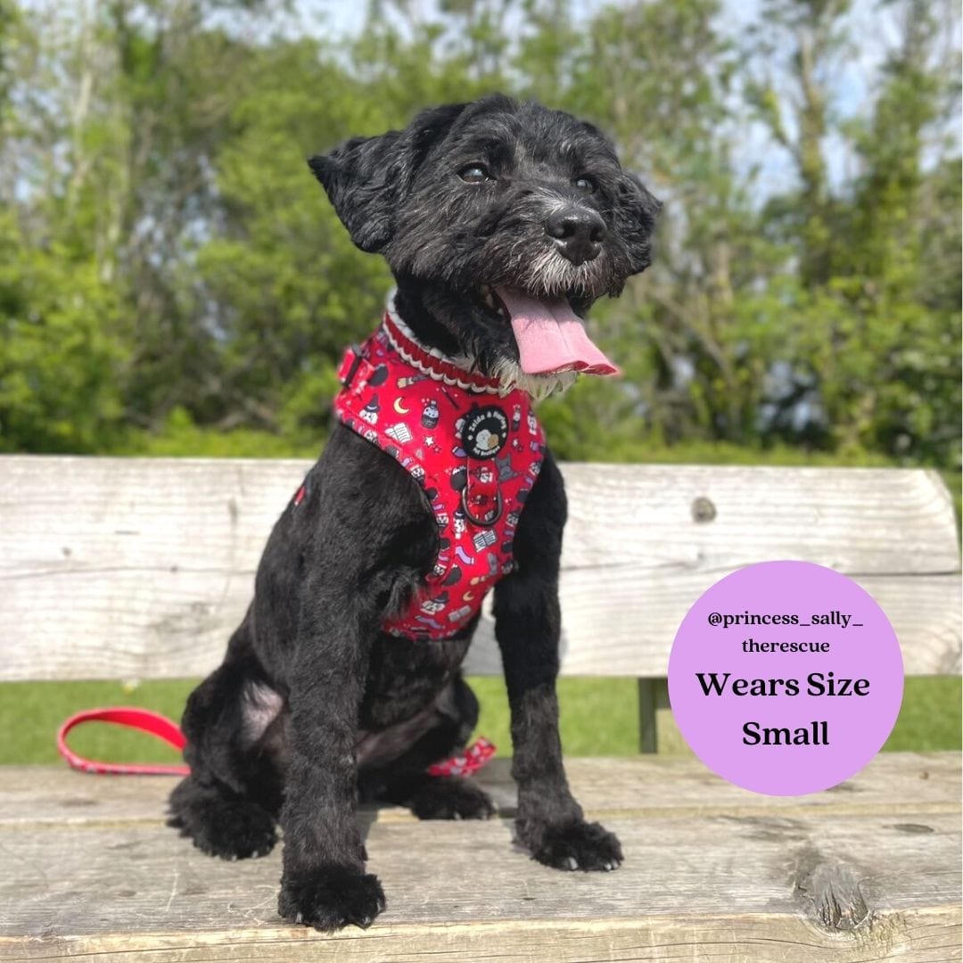 Hairy Pawter - No Pull Adjustable Dog Harness