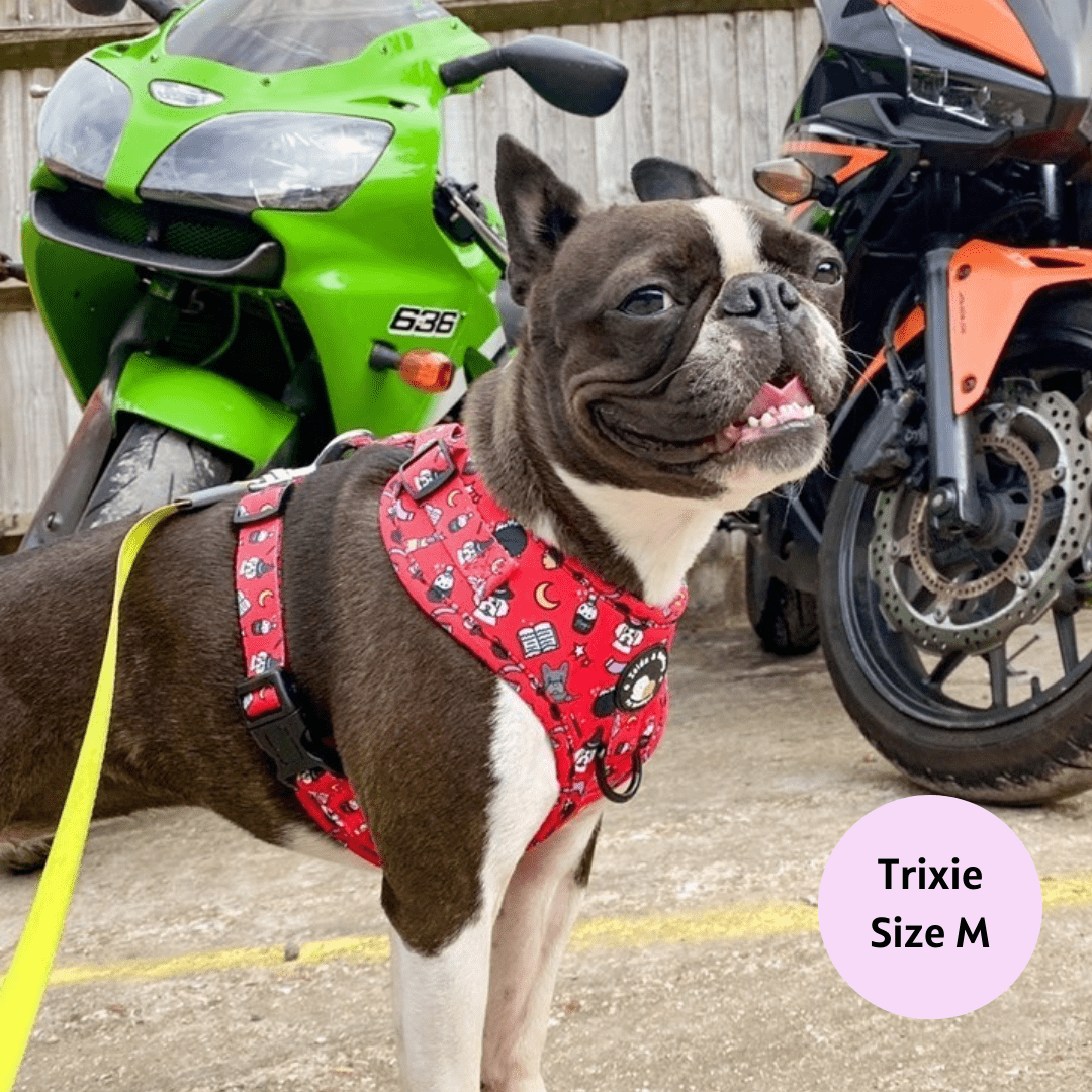 Hairy Pawter - No Pull Adjustable Dog Harness