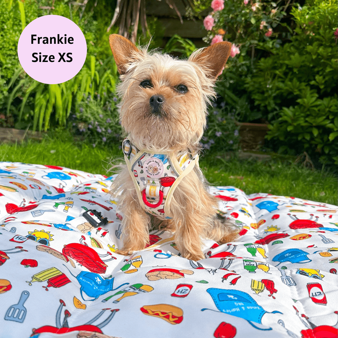 Hot Dawg - Adventure No Pull Harness