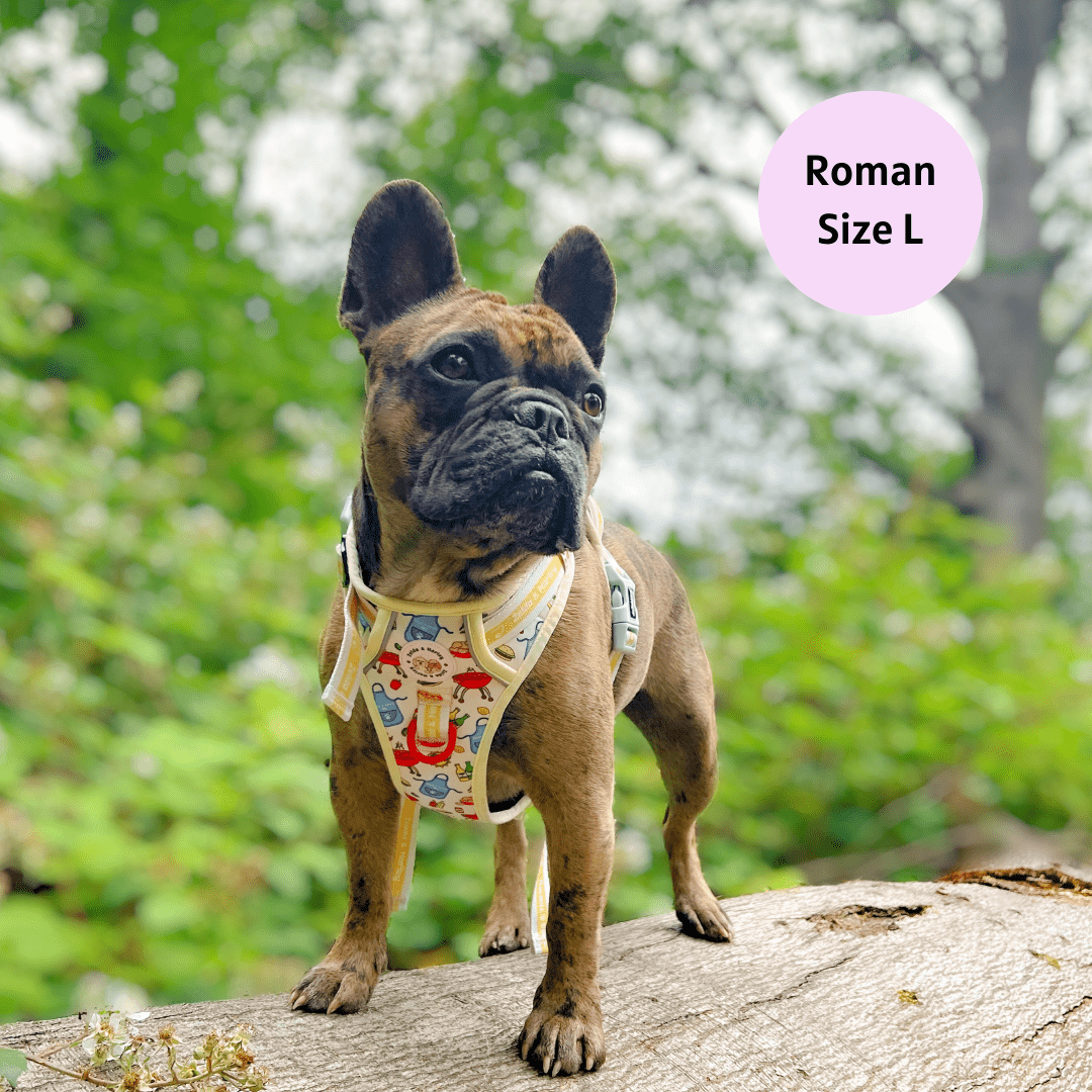 Hot Dawg - Adventure No Pull Harness