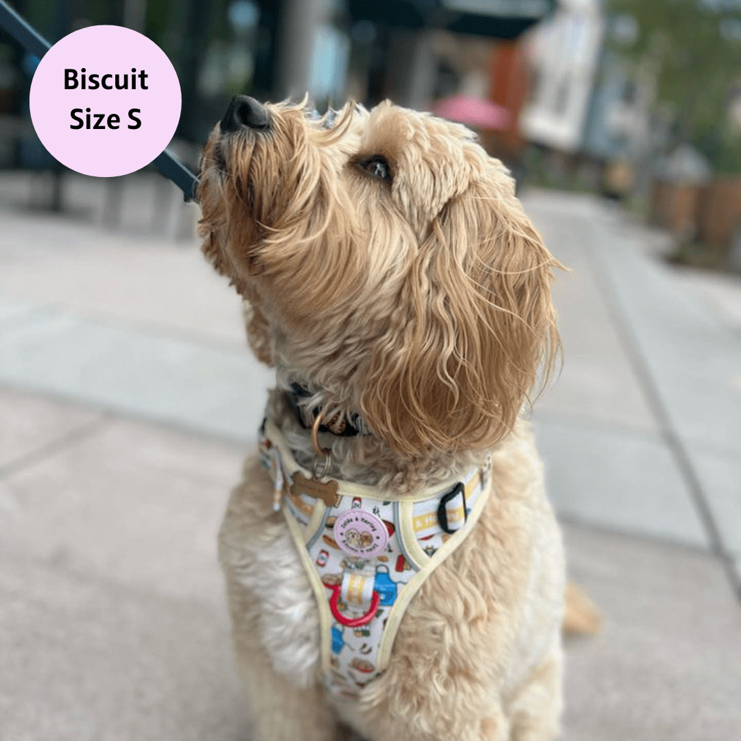 Hot Dawg - Adventure No Pull Harness