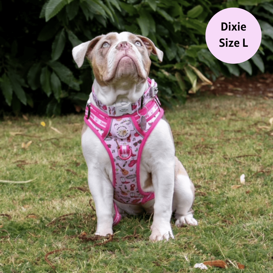 Shake it Off (Poochie's Version) - Adventure No Pull Harness