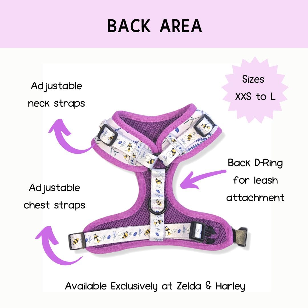 Sweet as Can Bee - No Pull Adjustable Dog Harness