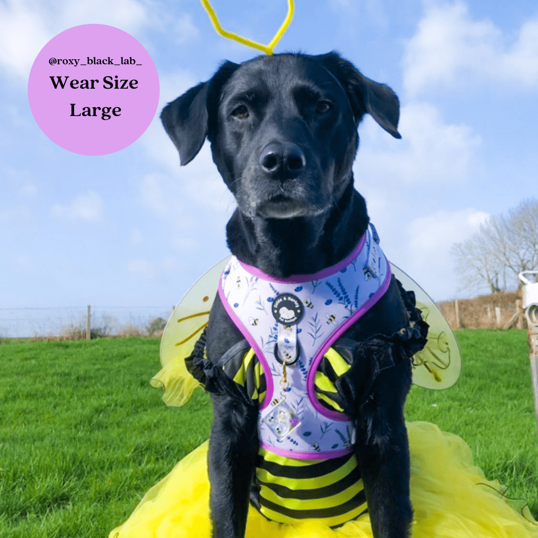 Sweet as Can Bee - No Pull Adjustable Dog Harness