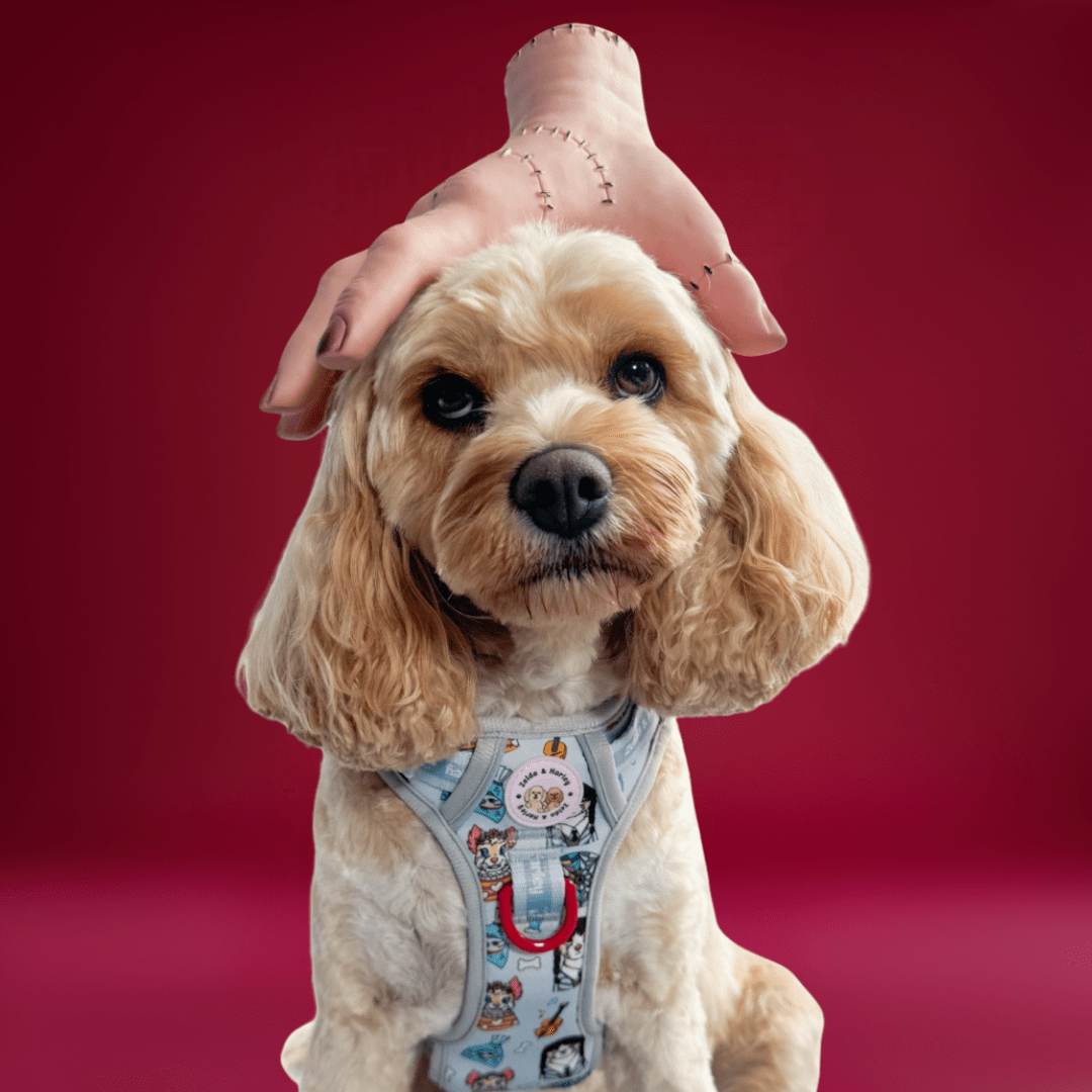 Woofsday - Adventure No Pull Harness