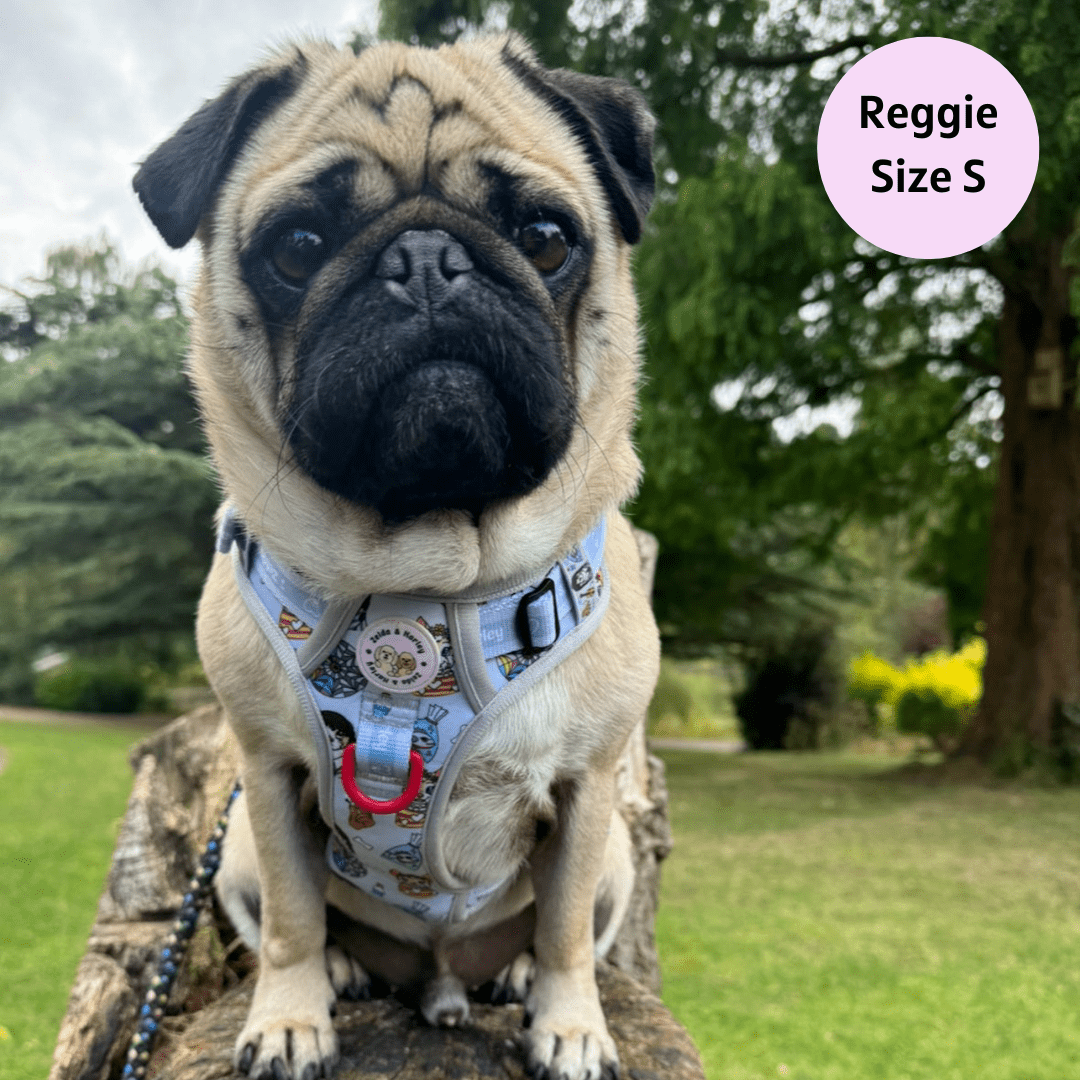 Woofsday - Adventure No Pull Harness