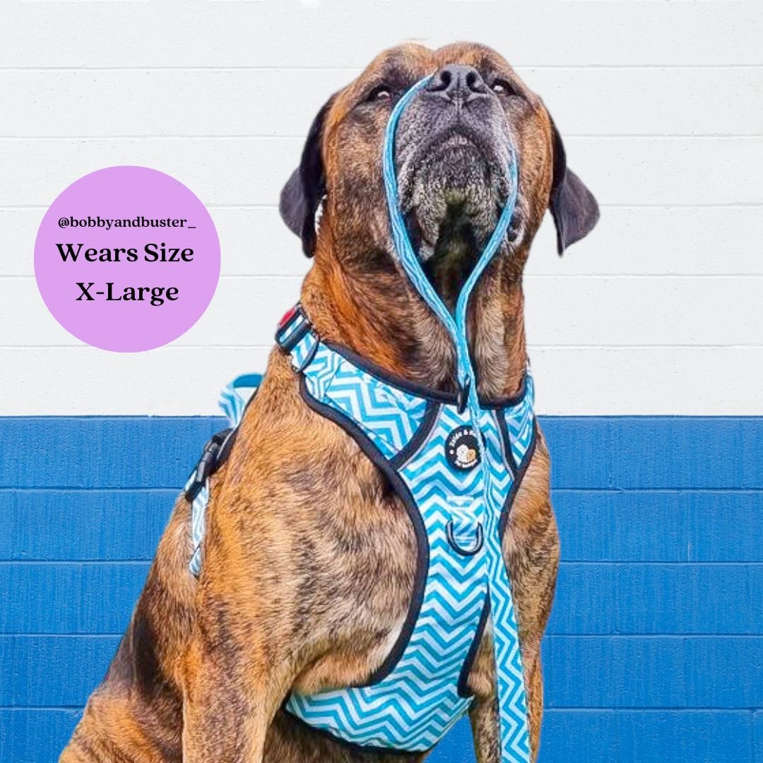 Zig Zag Wag Pastel Blue- Adventure No Pull Harness