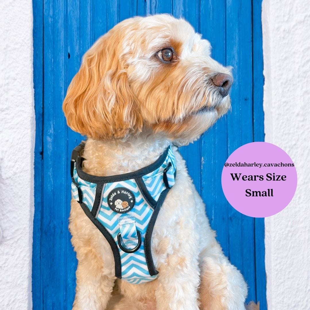 Zig Zag Wag Pastel Blue- Adventure No Pull Harness