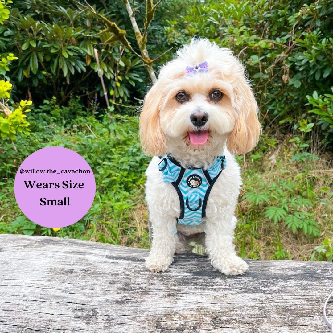 Zig Zag Wag Pastel Green - Adventure No Pull Harness