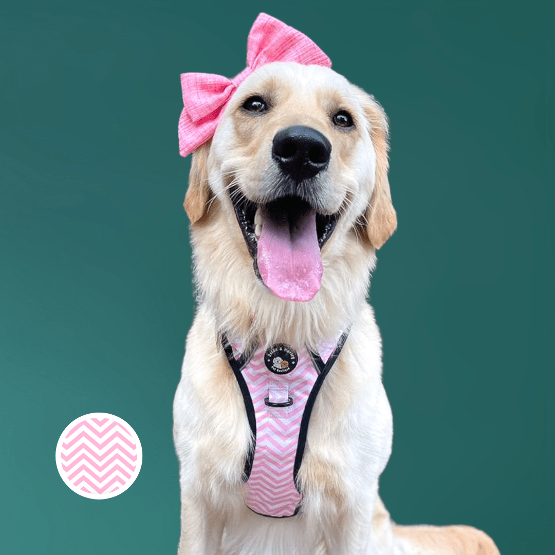 Zig Zag Wag Pastel Pink - Adventure No Pull Harness