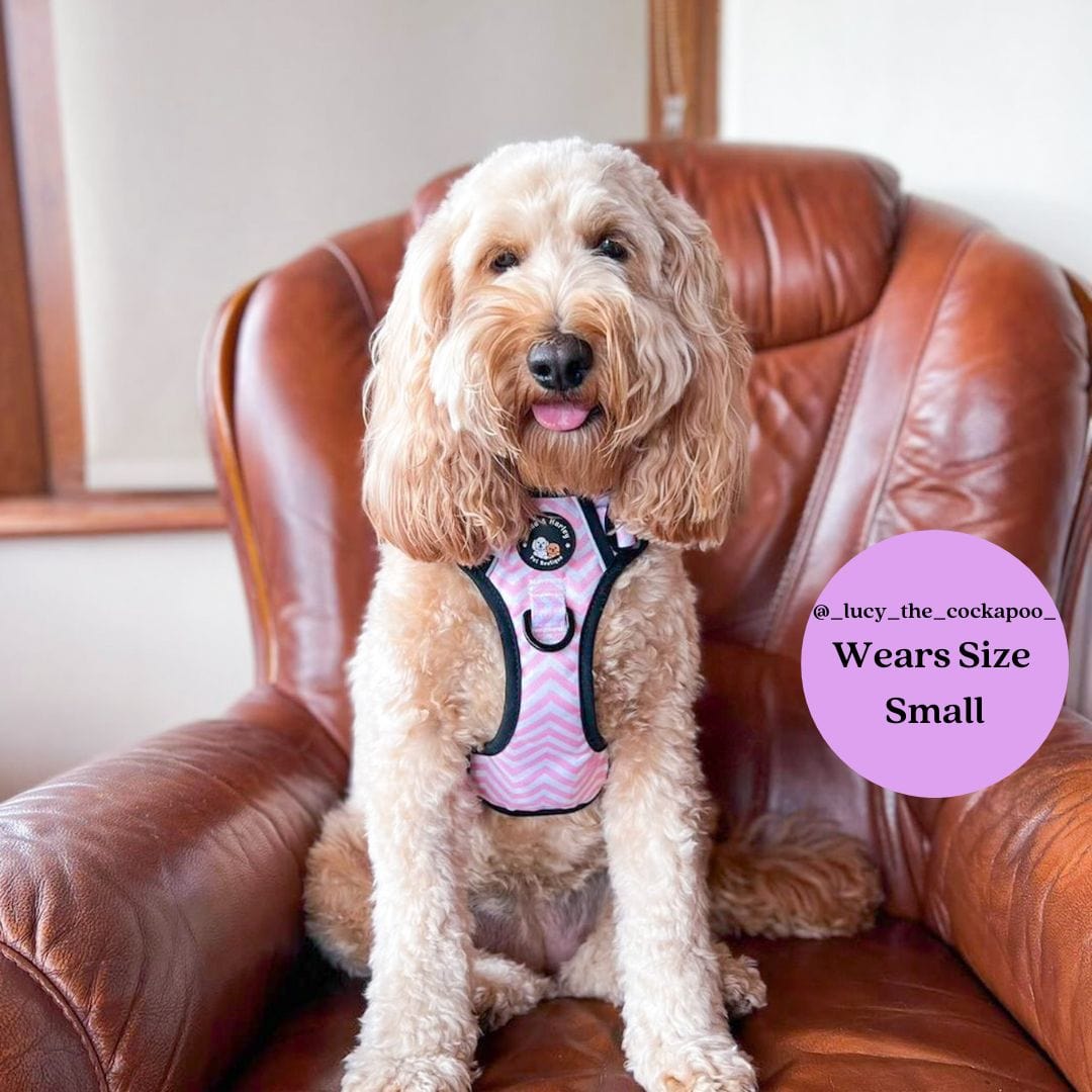 Zig Zag Wag Pastel Pink - Adventure No Pull Harness