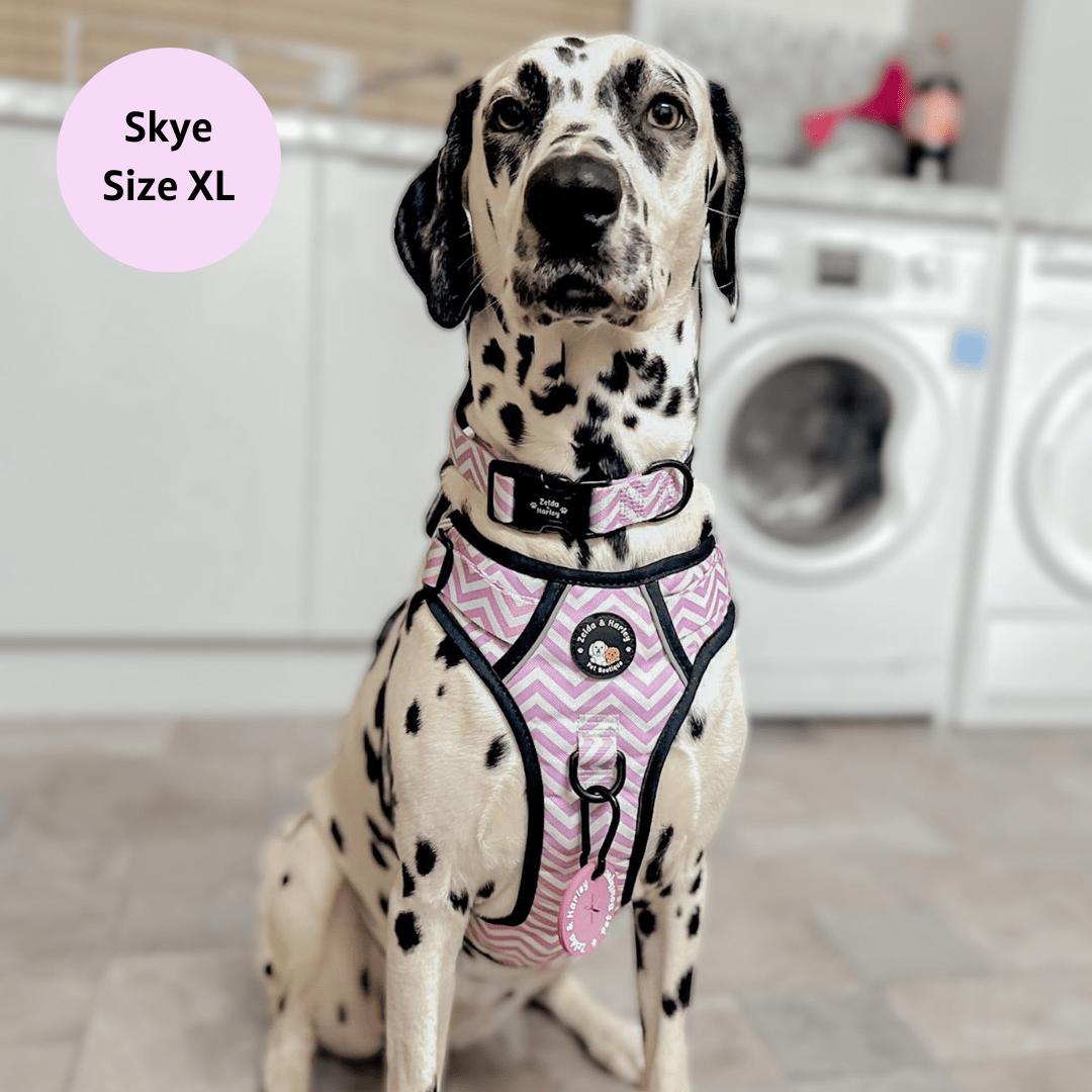 Zig Zag Wag Pastel Pink - Adventure No Pull Harness