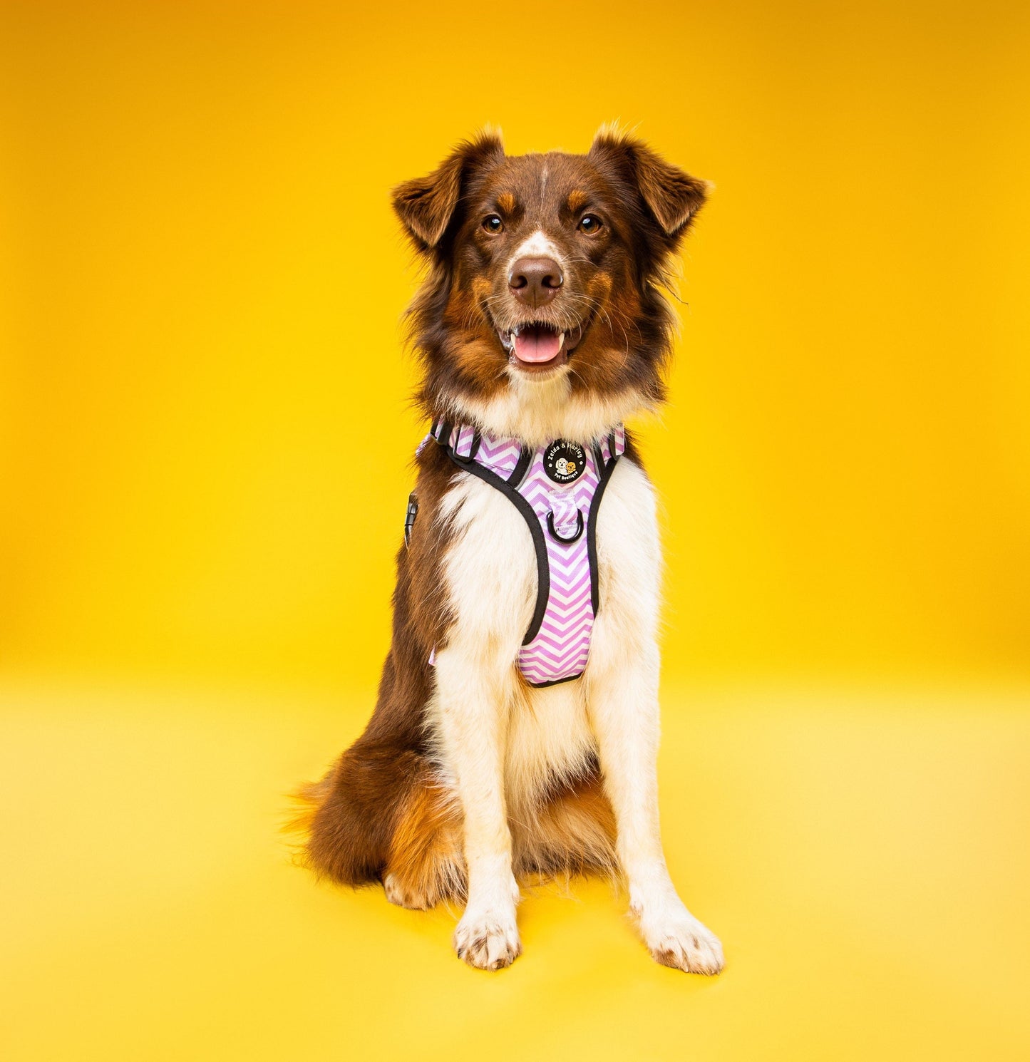 Zig Zag Wag Pastel Purple - Adventure No Pull Harness