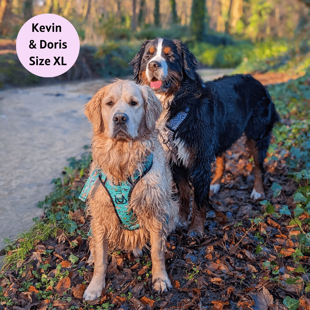 Zig Zag Wag Pastel Purple - Adventure No Pull Harness